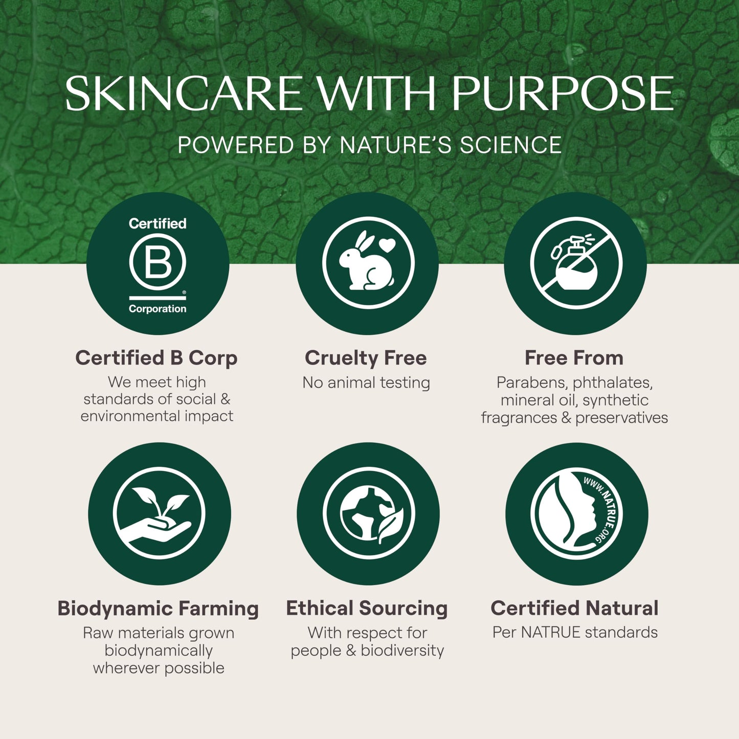 Weleda Skin Food Light, Dry Skin Moisturiser, Moisturising Cream & Primer, Face & Body, For Men & Women, Multiple Uses, 100% Certified Natural, Organic, 75ml